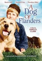Watch A Dog of Flanders Watch123movies