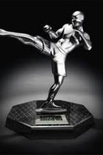 Watch World MMA Awards 2010 Watch123movies
