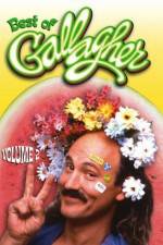 Watch Gallagher Stuck in the Sixties Watch123movies