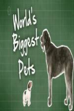 Watch World's Biggest Pets Watch123movies