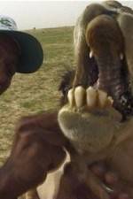 Watch With the Nomads Watch123movies