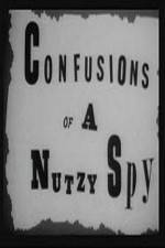 Watch Confusions of a Nutzy Spy Watch123movies
