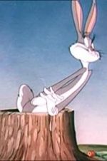 Watch The Unruly Hare Watch123movies