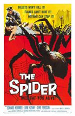 Watch The Spider Watch123movies