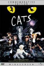 Watch Great Performances Cats Watch123movies