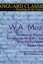 Watch Whiteforce Watch123movies