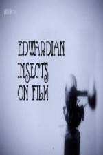 Watch Edwardian Insects on Film Watch123movies