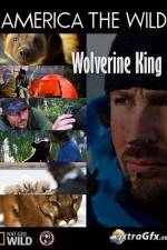 Watch National Geographic Wild America the Wild Wolverine King Watch123movies