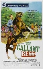 Watch Gallant Bess Watch123movies