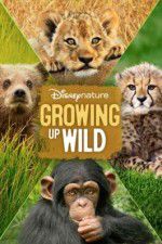 Watch Growing Up Wild Watch123movies