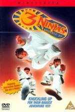 Watch 3 Ninjas Knuckle Up Watch123movies