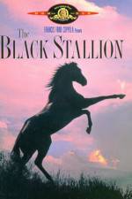 Watch The Black Stallion Watch123movies