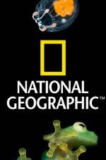 Watch National Geographic Wild Dam Beavers Watch123movies