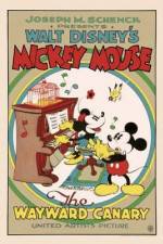 Watch The Wayward Canary Watch123movies