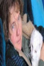 Watch Ciao Meow Watch123movies