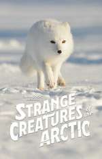 Watch Strange Creatures of the Arctic (TV Special 2022) Watch123movies