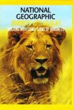 Watch National Geographic: Walking with Lions Watch123movies