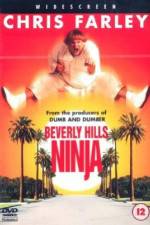 Watch Beverly Hills Ninja Watch123movies