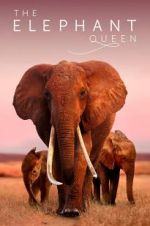 Watch The Elephant Queen Watch123movies