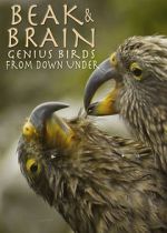 Watch Beak & Brain - Genius Birds from Down Under Watch123movies