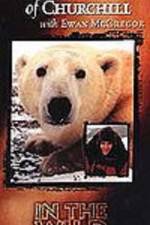 Watch The Polar Bears of Churchill with Ewan McGregor Watch123movies