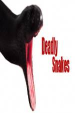 Watch National Geographic Wild Deadly Snakes Watch123movies