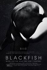 Watch Blackfish Watch123movies