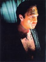 Watch The Age of Insects Watch123movies