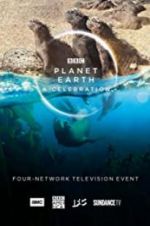 Watch Planet Earth: A Celebration Watch123movies