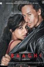 Watch Baaghi Watch123movies