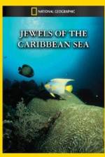 Watch National Geographic Jewels of the Caribbean Sea Watch123movies