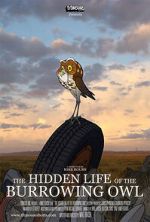 Watch The Hidden Life of the Burrowing Owl (Short 2008) Watch123movies