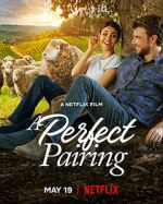 Watch A Perfect Pairing Watch123movies