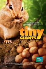 Watch Tiny Giants 3D Watch123movies