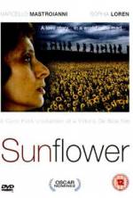 Watch Sunflower Watch123movies