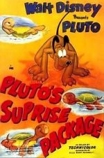 Watch Pluto\'s Surprise Package Watch123movies