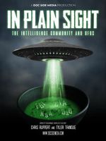 Watch In Plain Sight: The Intelligence Community and UFOs Watch123movies