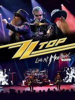 Watch ZZ Top: Live at Montreux 2013 Watch123movies
