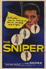 Watch The Sniper Watch123movies