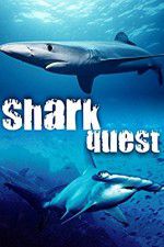 Watch Shark Quest Watch123movies