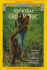 Watch Search for the Great Apes Watch123movies