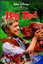 Watch Big Red Watch123movies