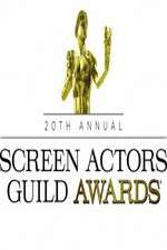 Watch The 20th Annual Screen Actors Guild Awards Watch123movies