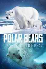 Watch Polar Bears Ice Bear Watch123movies