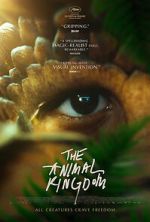 Watch The Animal Kingdom Watch123movies