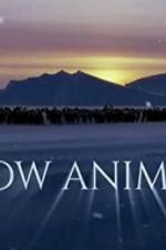 Watch Snow Animals Watch123movies
