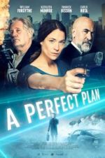 Watch A Perfect Plan Watch123movies