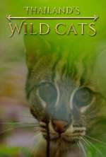 Thailand's Wild Cats