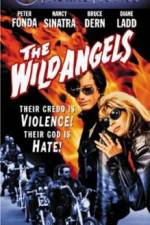 Watch The Wild Angels Watch123movies