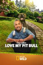 Watch Cesar Millan: Love My Pit Bull Watch123movies